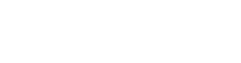 Diseño web Anubis